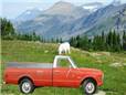 lg_Chevy_PU_69_in_Glacier.jpg