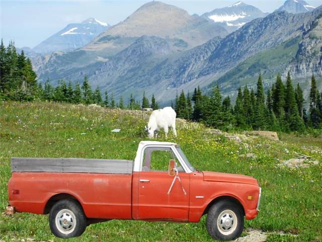 xl_Chevy_PU_69_in_Glacier.jpg