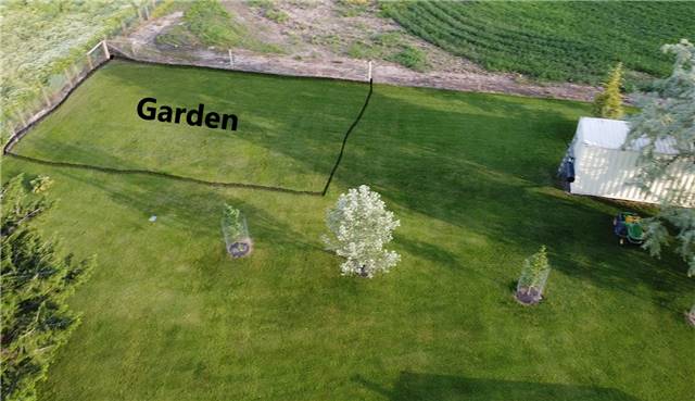 garden.JPG