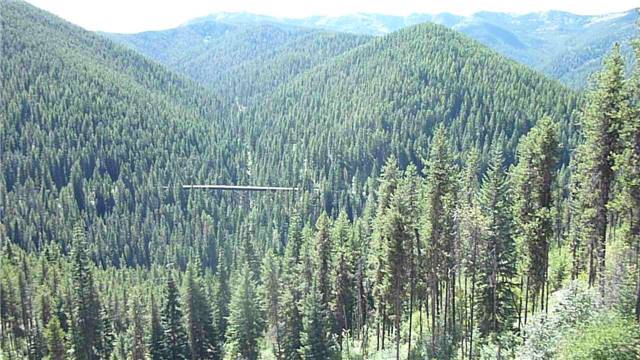 2010 Hiawatha_037.jpg