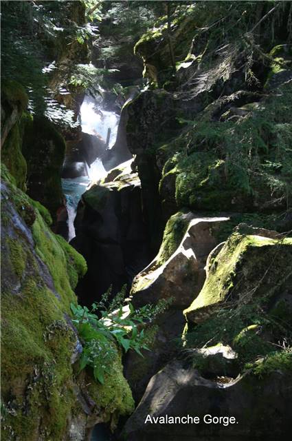 Avalanche Gorge.jpg