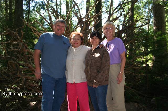 Group by cypress roots.jpg