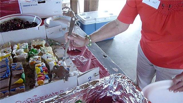 2010 Picnic b_005.jpg