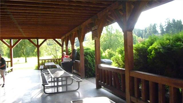 2010 Picnic b_007.jpg