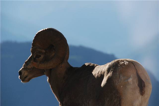 2010 Jul 8 Glacier_020.jpg