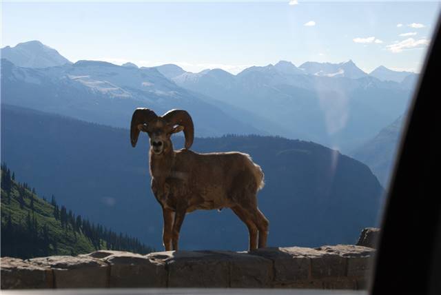 2010 Jul 8 Glacier_021.jpg