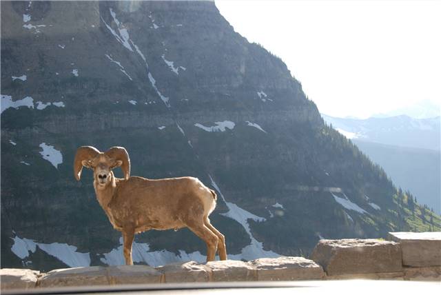 2010 Jul 8 Glacier_023.jpg