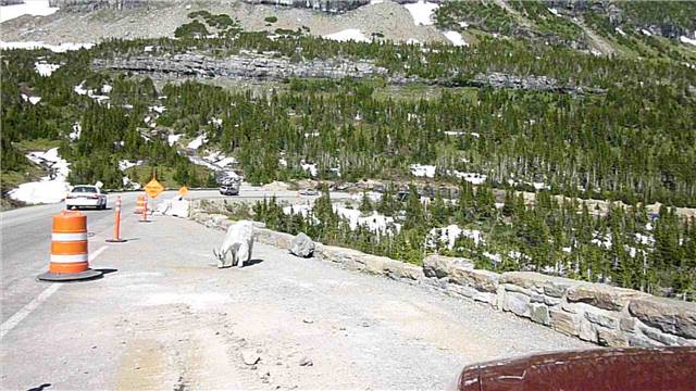 2010 Jul 8 Glacier_040.jpg