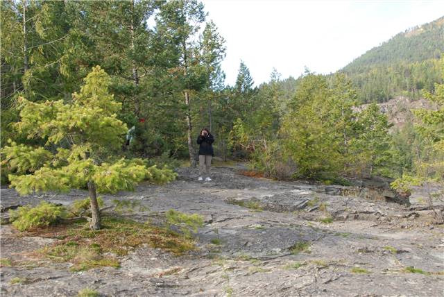 2010 Oct 16 FallColors_020.jpg