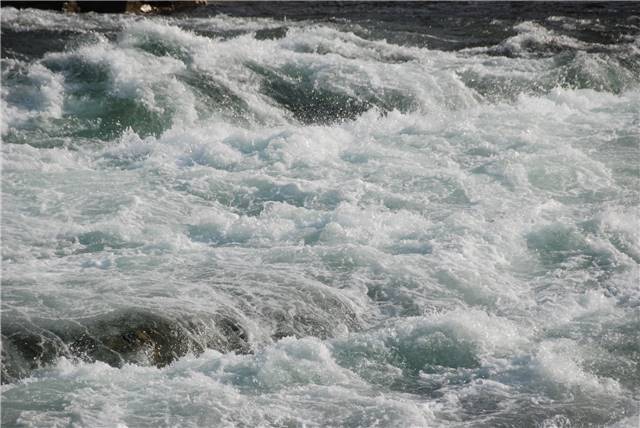 2010 Oct 16 FallColors_024.jpg