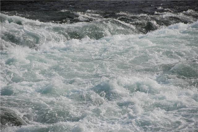 2010 Oct 16 FallColors_026.jpg