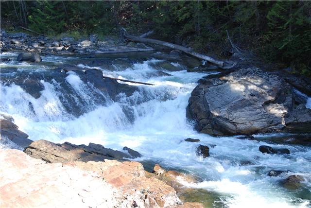 2010 Oct 16 FallColors_051.jpg