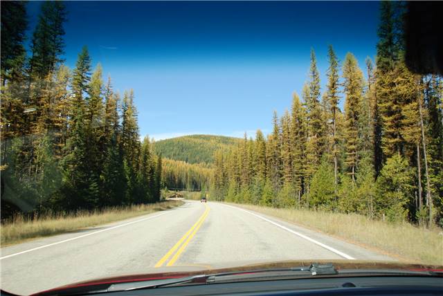 2010 Oct 16 FallColors_075.jpg