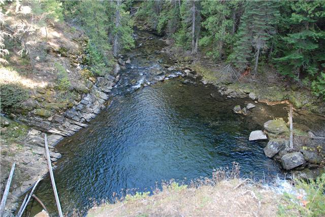 2010 Oct 16 FallColors_111.jpg