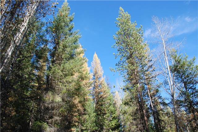 2010 Oct 16 FallColors_119.jpg