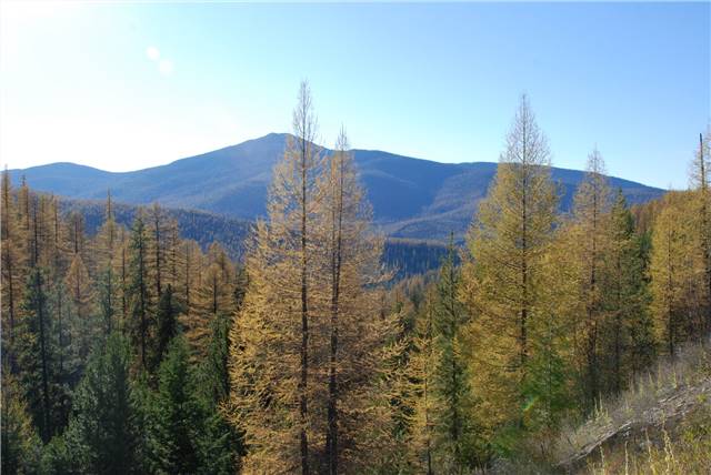 2010 Oct 16 FallColors_124.jpg