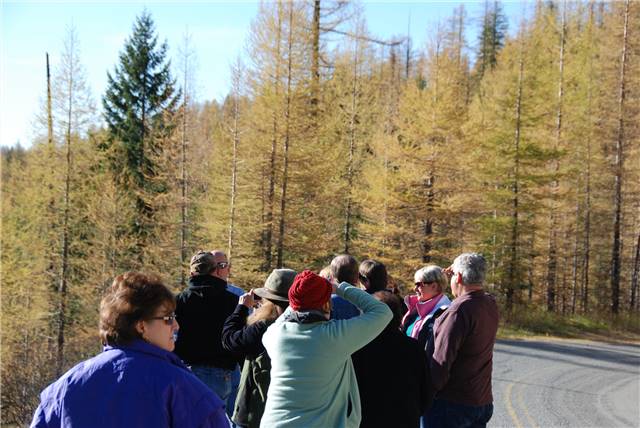 2010 Oct 16 FallColors_128.jpg