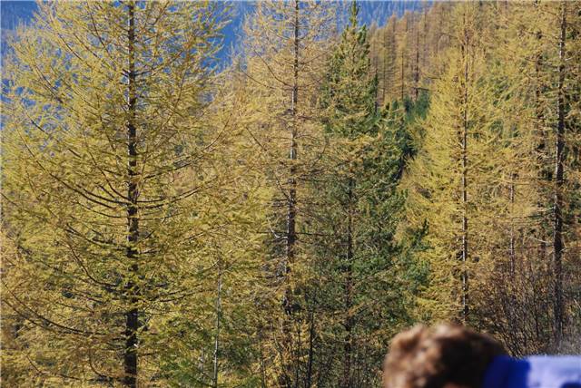 2010 Oct 16 FallColors_129.jpg