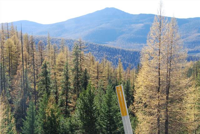 2010 Oct 16 FallColors_130.jpg