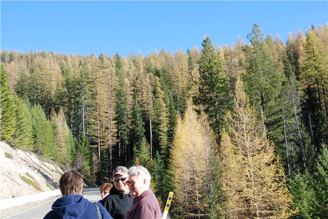 2010 Oct 16 FallColors_132.jpg