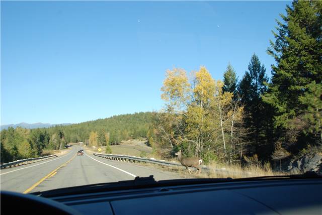 2010 Oct 16 FallColors_137.jpg