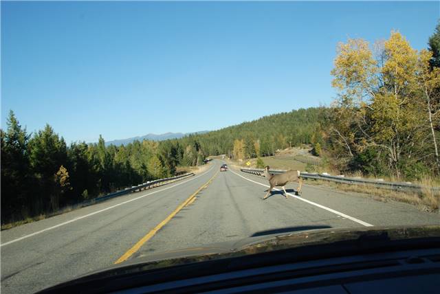 2010 Oct 16 FallColors_139.jpg