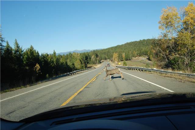 2010 Oct 16 FallColors_140.jpg