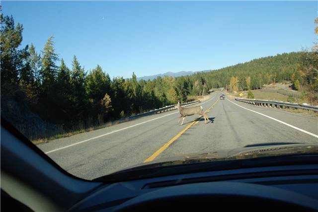 2010 Oct 16 FallColors_141.jpg