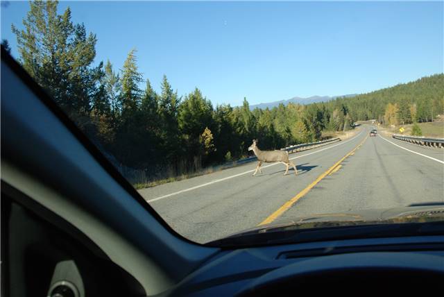 2010 Oct 16 FallColors_142.jpg