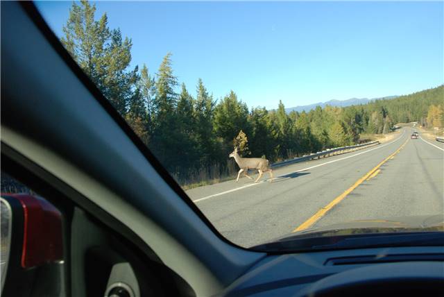 2010 Oct 16 FallColors_143.jpg